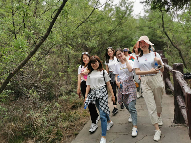 鼎天国际官方网站图片